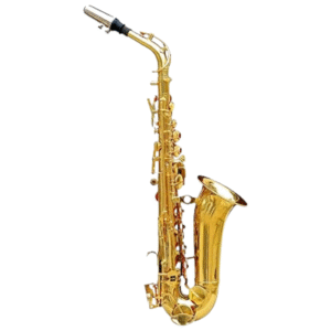 Nadiralli / Ali Nadir & Co. Alto Saxophone