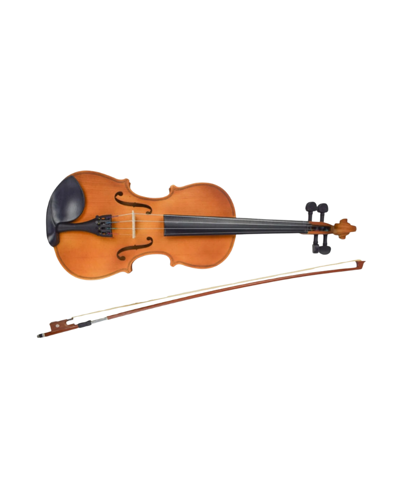 Violin (Acoustic String Instrument)